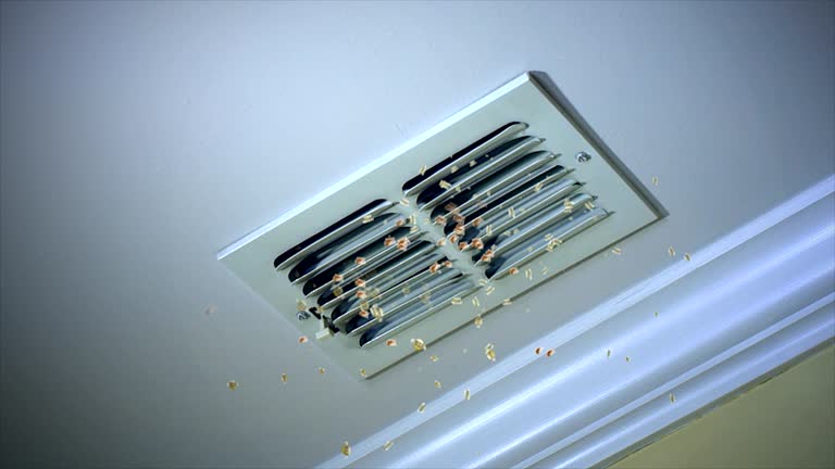 Best Ductwork Cleaning Services  in Lakewood, IL
